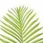 Konstgjord tropisk palm 160 cm