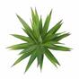 Konstgjord växt Agave grön 20 cm