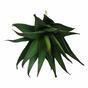 Konstgjord växt Aloe 13,5 cm