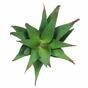 Konstgjord växt Aloe 13,5 cm