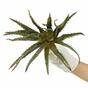 Konstgjord växt Aloe 27 cm