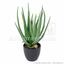 Konstgjord växt Aloe Vera 45 cm