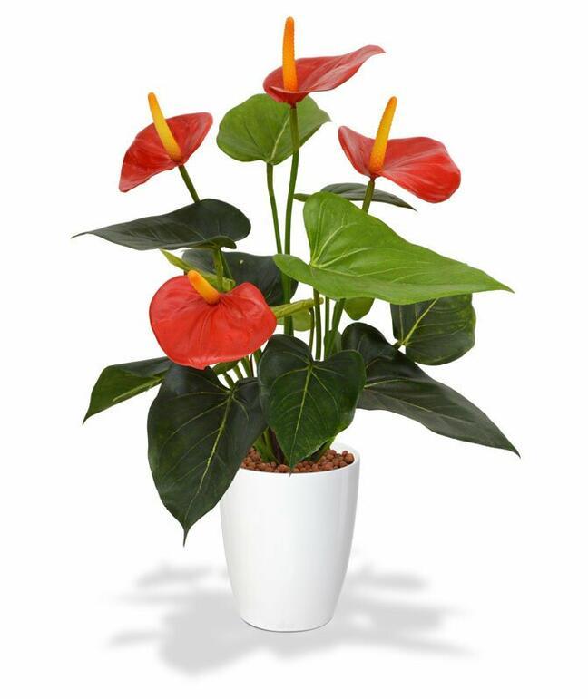 Konstgjord växt Anthurium röd 40 cm