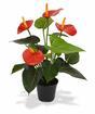Konstgjord växt Anthurium röd 40 cm
