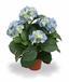 Konstgjord växt Hortensia blå 45 cm
