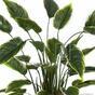 Konstgjord växt Hosta 50 cm