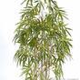 Konstgjord växt Kinesisk bambu 150 cm