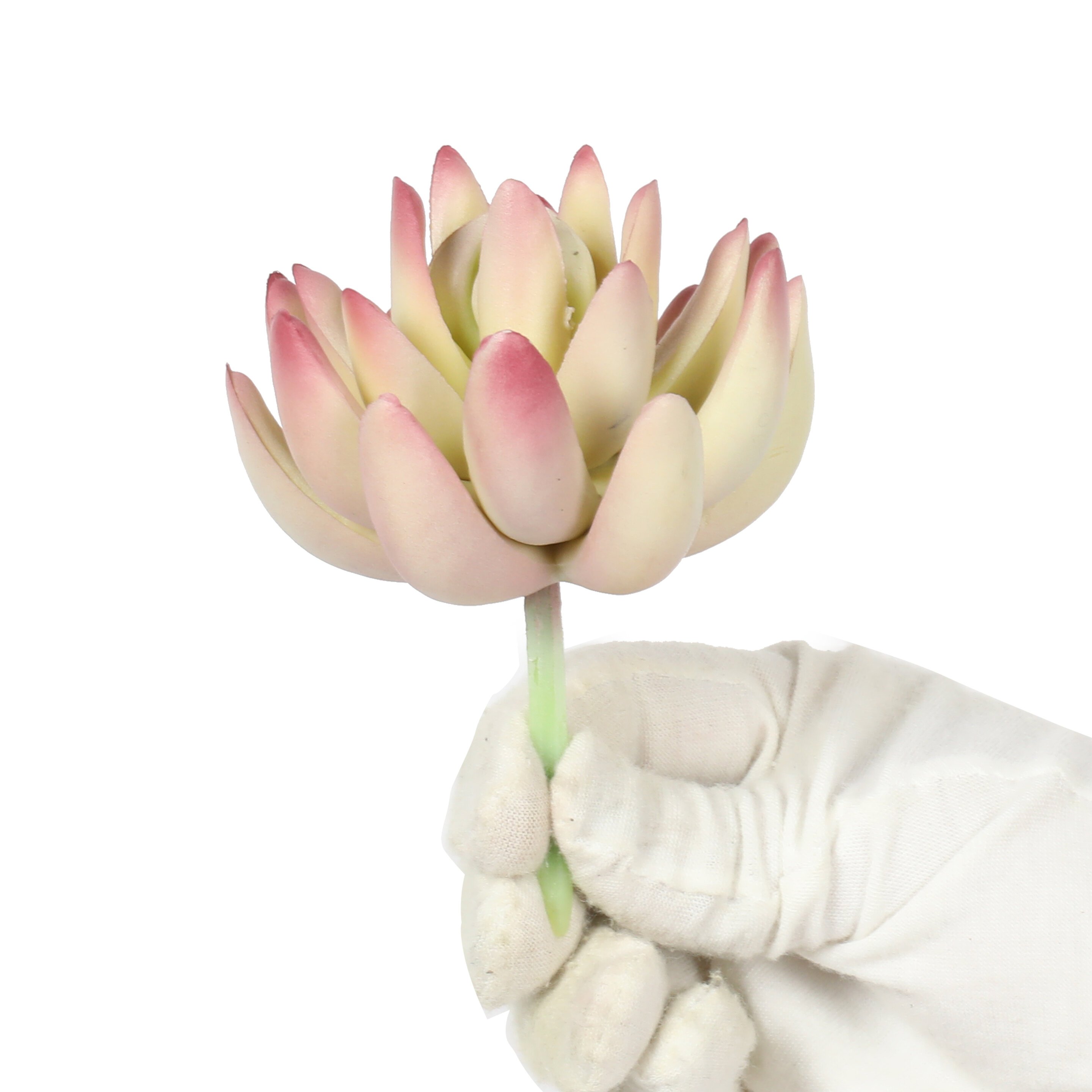 Konstgjord växt Lotus Echeveria 10 cm
