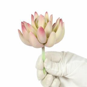 Konstgjord växt Lotus Echeveria 10 cm