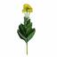 Konstgjord växt Marolist balsamico 22 cm