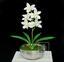 Konstgjord växt Orchidea Cymbidium grädde 50 cm