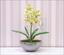Konstgjord växt Orchidea Cymbidium ljusgrön 50 cm