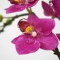 Konstgjord växt Orkidé lila 50 cm