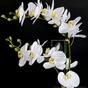 Konstgjord växt Orkidé vit 65 cm