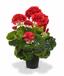 Konstgjord växt Pakost röd 40 cm