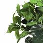 Konstgjord växt Philodendron Cordatum 45 cm