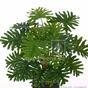 Konstgjord växt Philodendron xanadu 40 cm