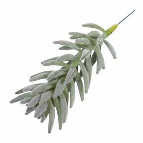 Konstgjord växt Senecio haworthii 21 cm