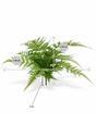 Konstgjord växt Vinge 30 cm