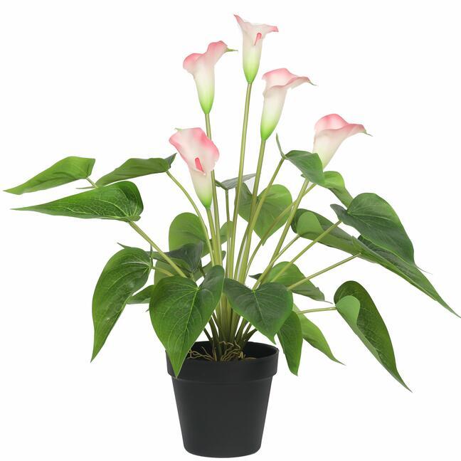 Konstgjord växt Vit-rosa calla 50 cm