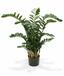 Konstgjord växt Zamiokulkas 120 cm