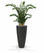 Konstgjord växt Zamiokulkas 120 cm