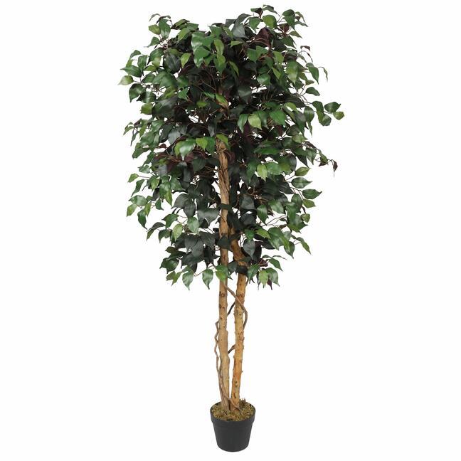 Konstgjorda träd Ficus Benjamin vinröd 170 cm