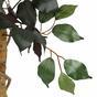 Konstgjorda träd Ficus Benjamin vinröd 170 cm