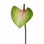 Konstgjort blad Anthurium rosa-grönt 50 cm