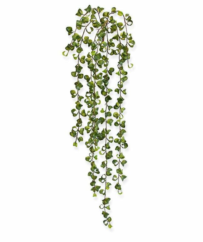 Konstnärsslinga Peperomia rotundifolia 80 cm